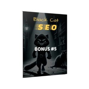 Black Cat SEO